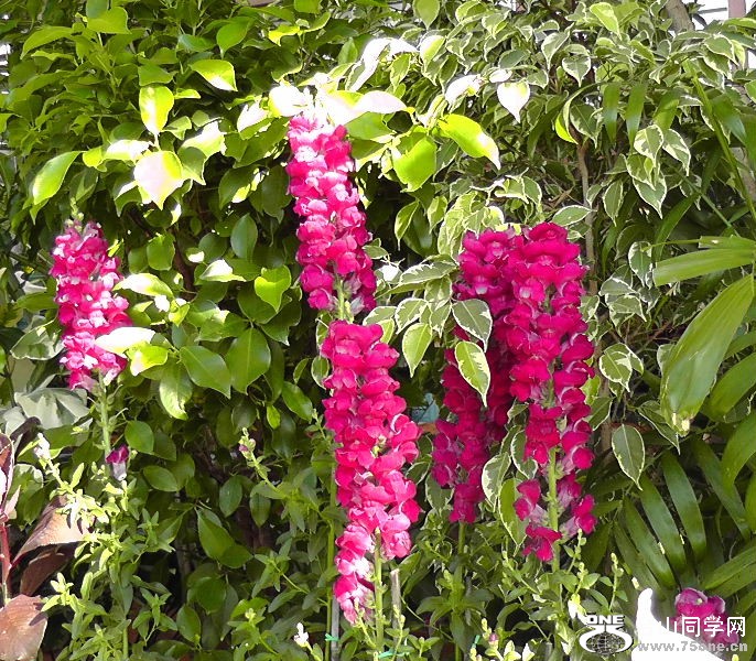 2012_040510045.JPG