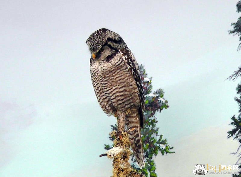 2012_040910757=.jpg