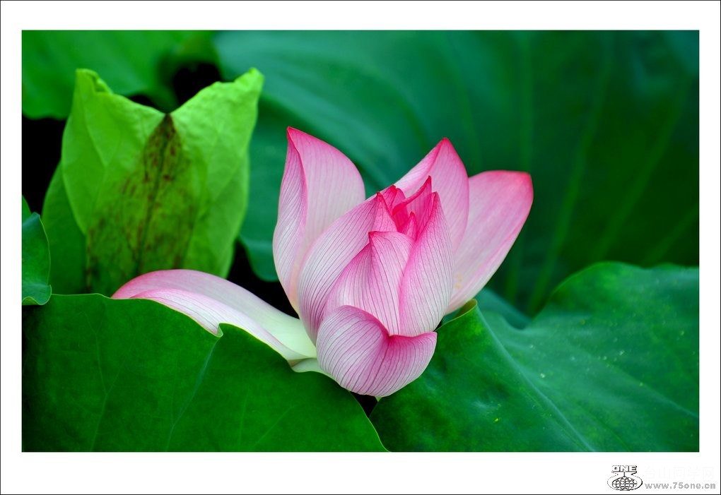 nEO_IMG_DSC_1540_conew1.jpg
