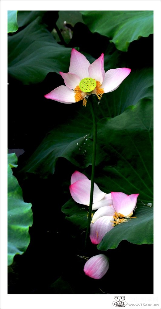 nEO_IMG_DSC_1534_conew1.jpg