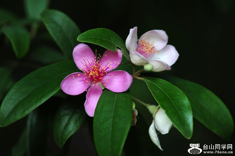 DSC_3479.JPG