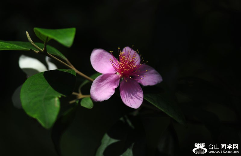 DSC_3477.JPG