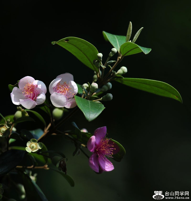 DSC_3474.JPG