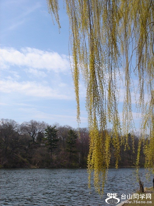 DSC08260.JPG