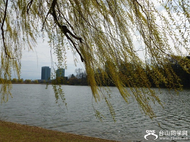 P1070150.JPG