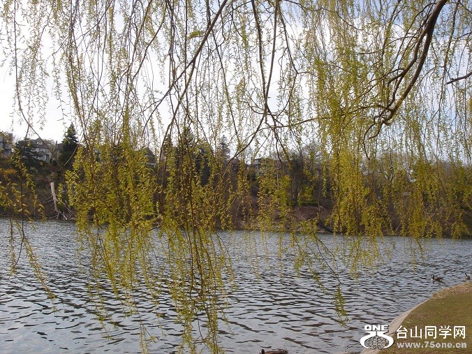 DSC08255.JPG