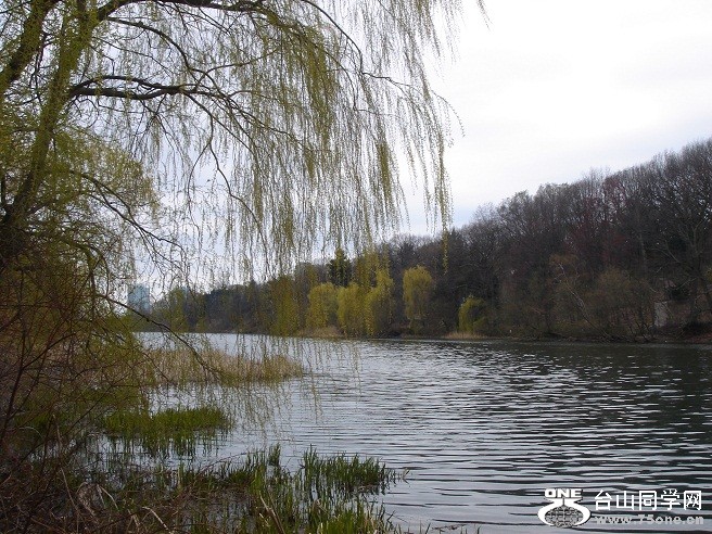DSC08320.JPG