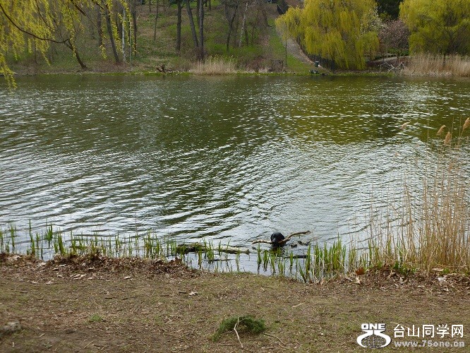 P1070218.JPG