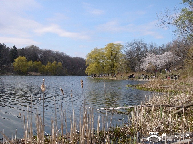 DSC08288.JPG