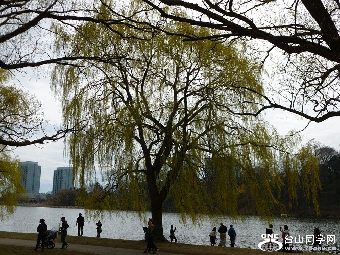P1070095.JPG