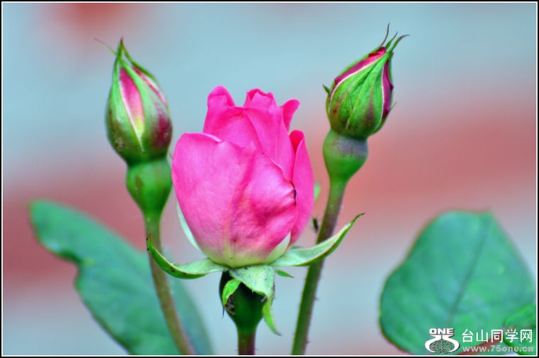 DSC_2998.jpg