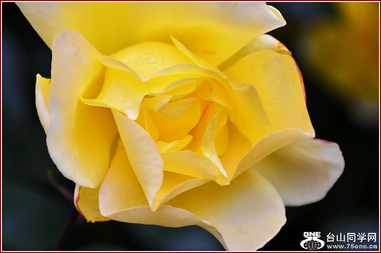 DSC_2310.jpg