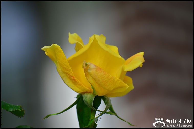 DSC_3008.jpg