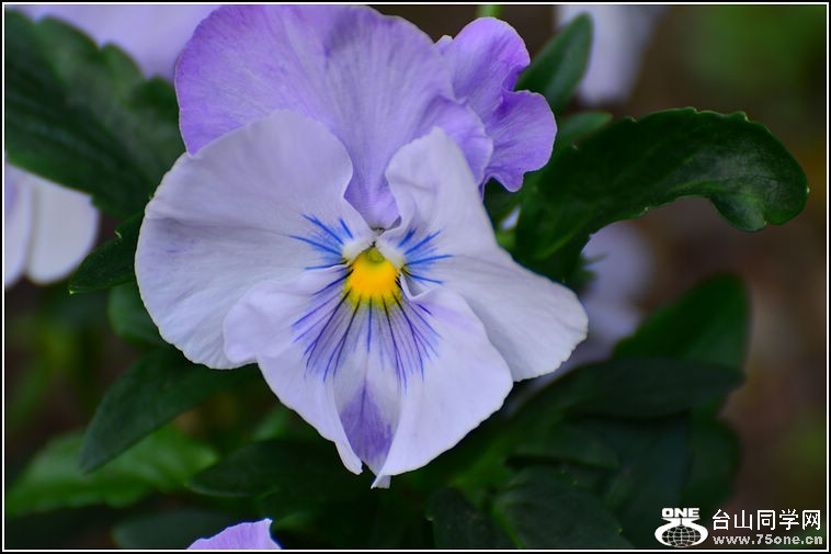 DSC_3012.jpg