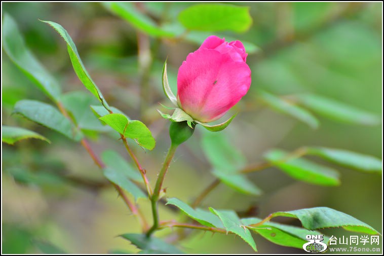 DSC_3001.jpg