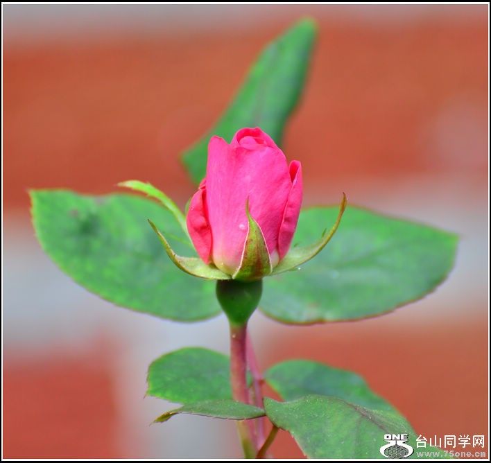 DSC_3005.jpg