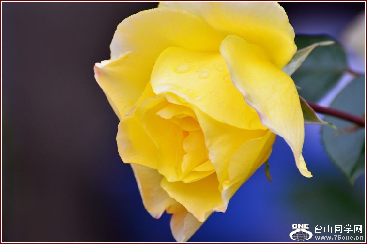DSC_2315.jpg