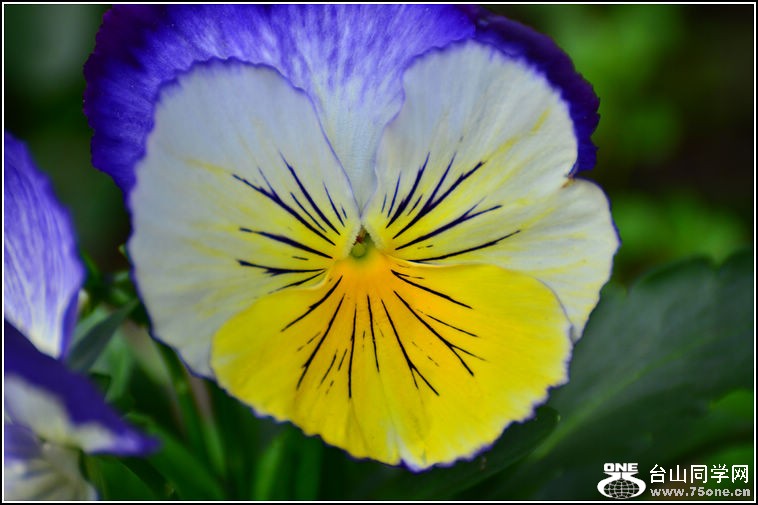 DSC_3011.jpg