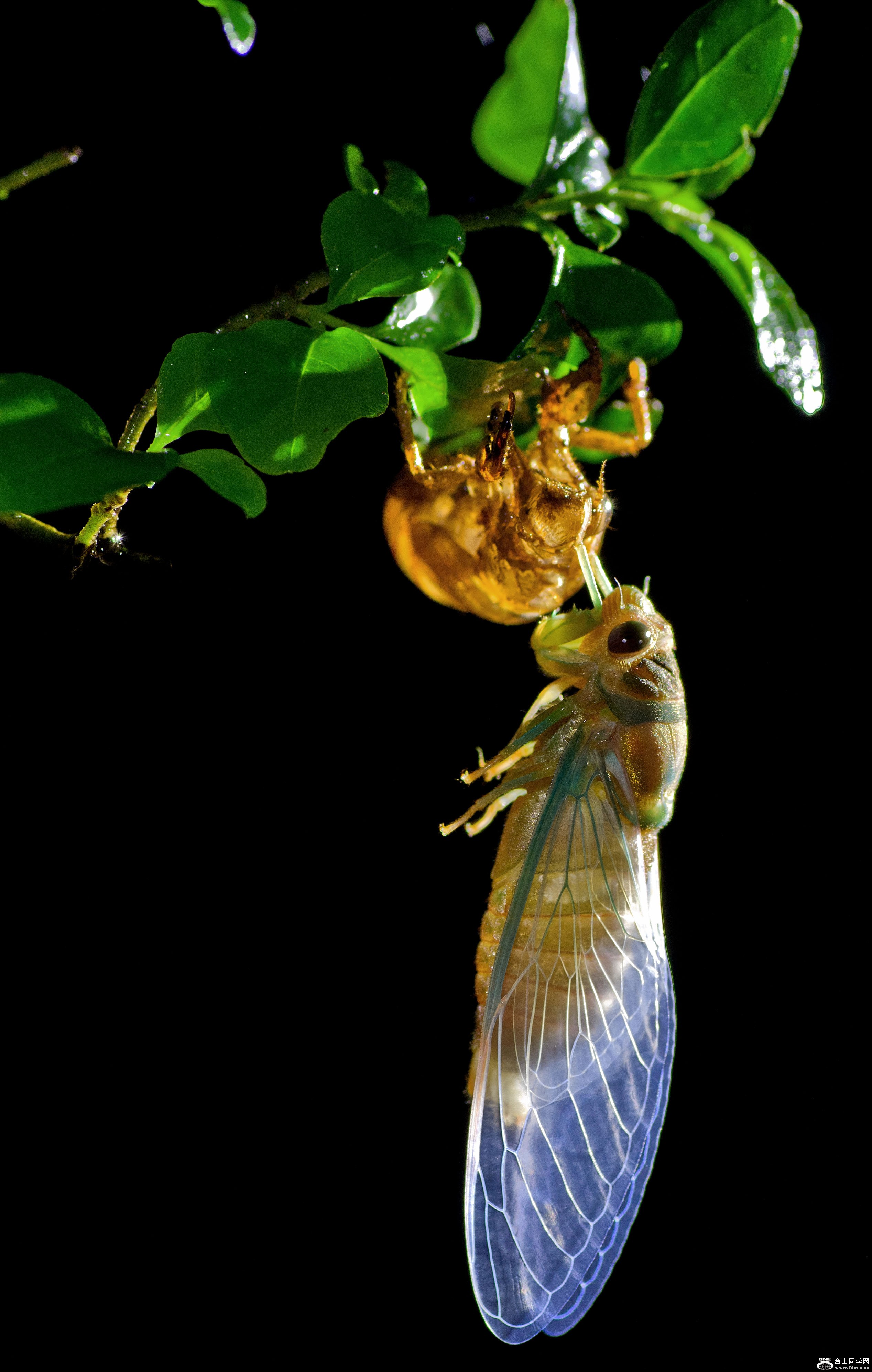 DSC_1922.jpg