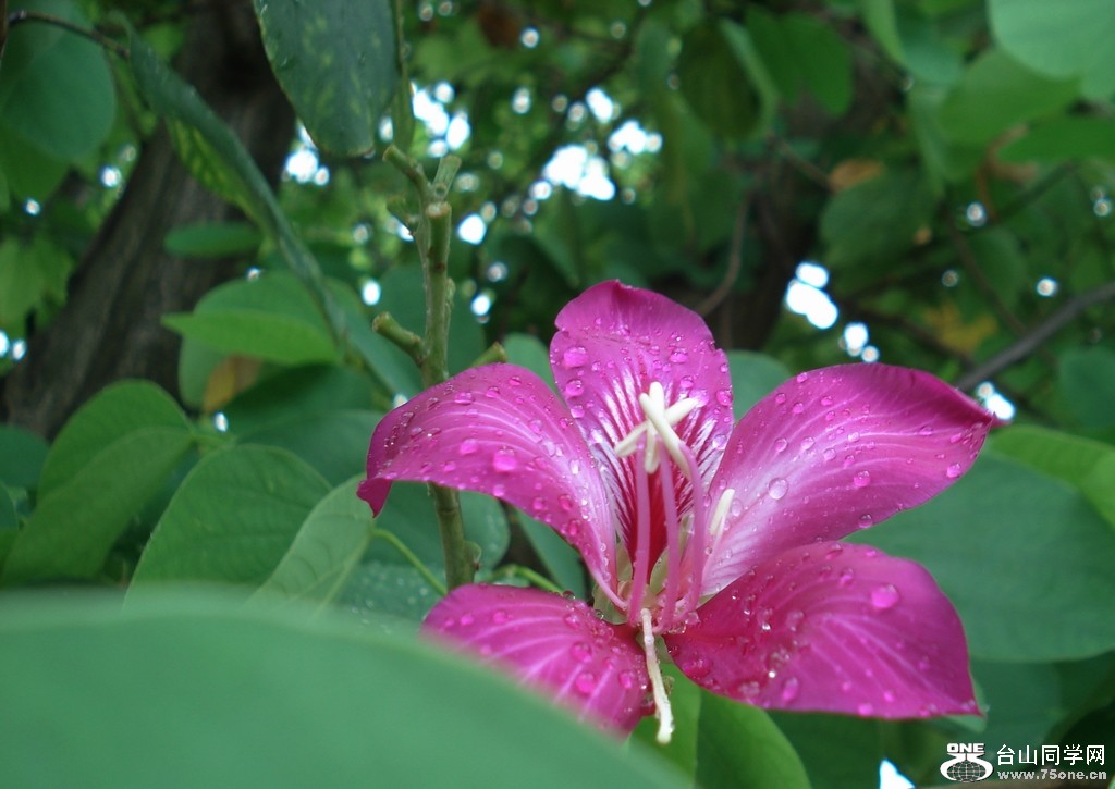 DSC05421.jpg