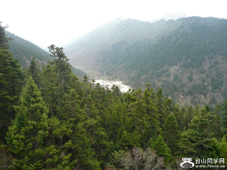 p1000998_.jpg