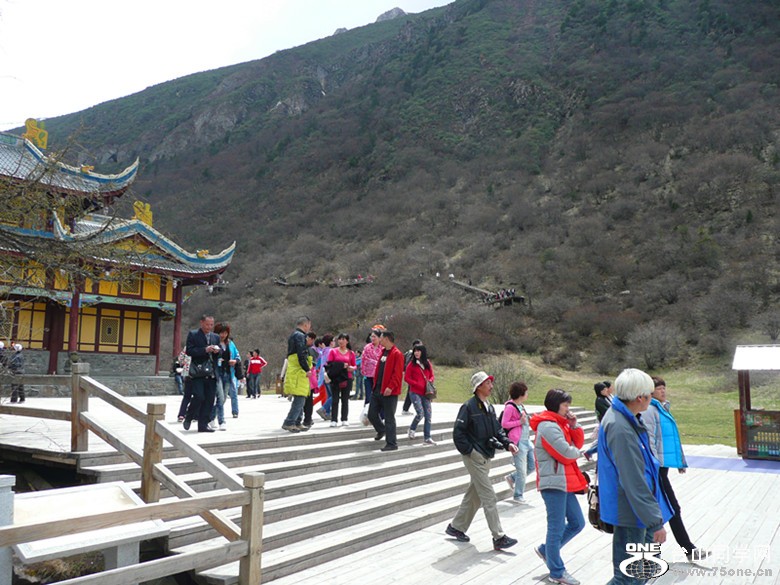 p1010025_.jpg