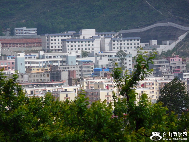 p1000976_.jpg
