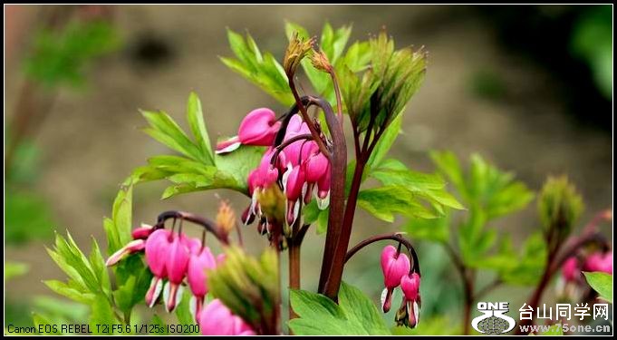 ������С IMG_3205.JPG