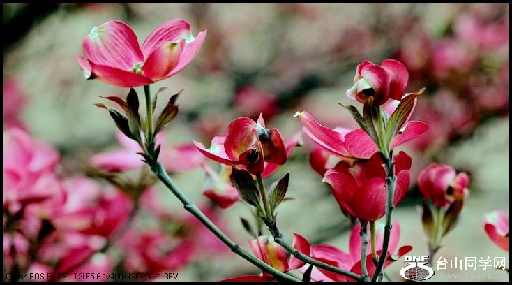 ������С IMG_3173.JPG