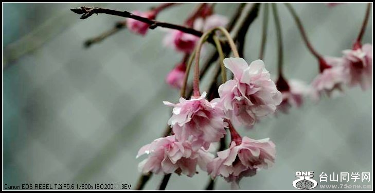 ������С IMG_3180.JPG