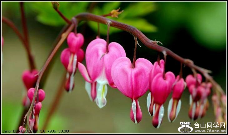 ������С IMG_3203.JPG