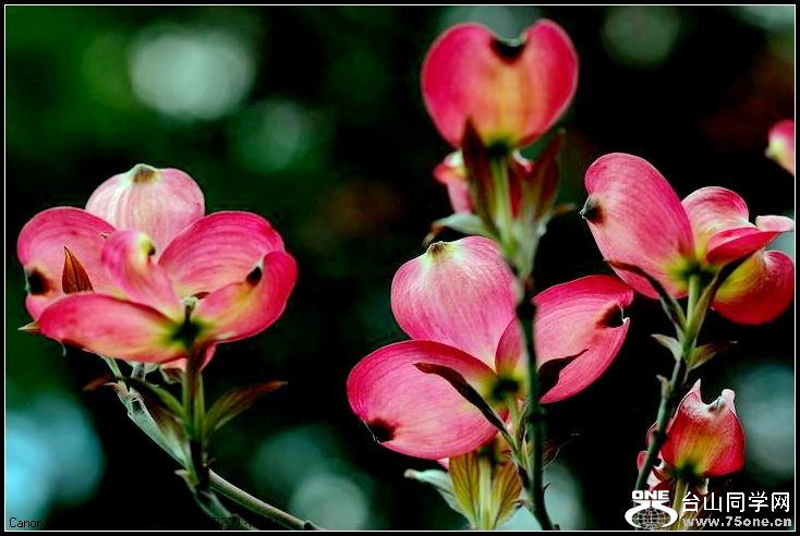 ������С IMG_3172.JPG