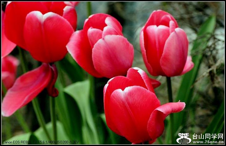 ������С IMG_3182.JPG