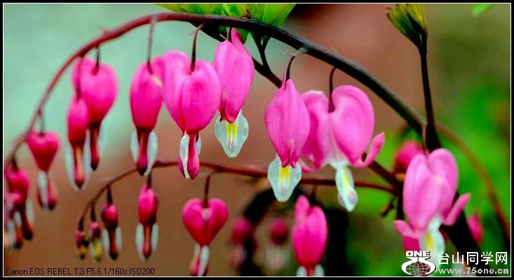 ������С IMG_3204.JPG