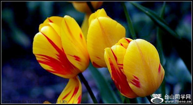 ������С IMG_3190.JPG