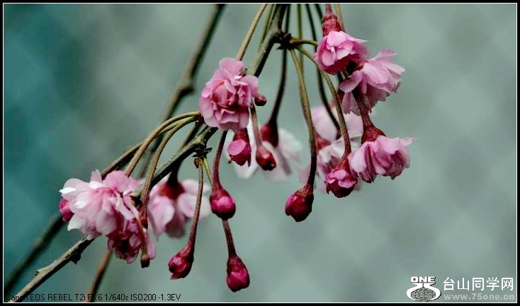 ������С IMG_3179.JPG