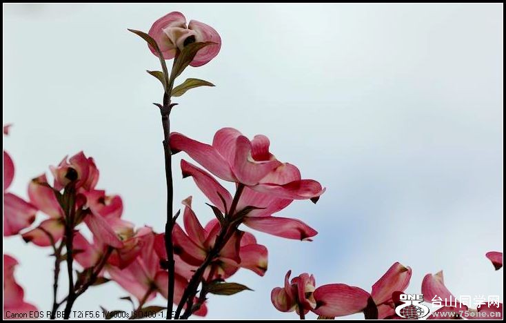 ������С IMG_3167.JPG