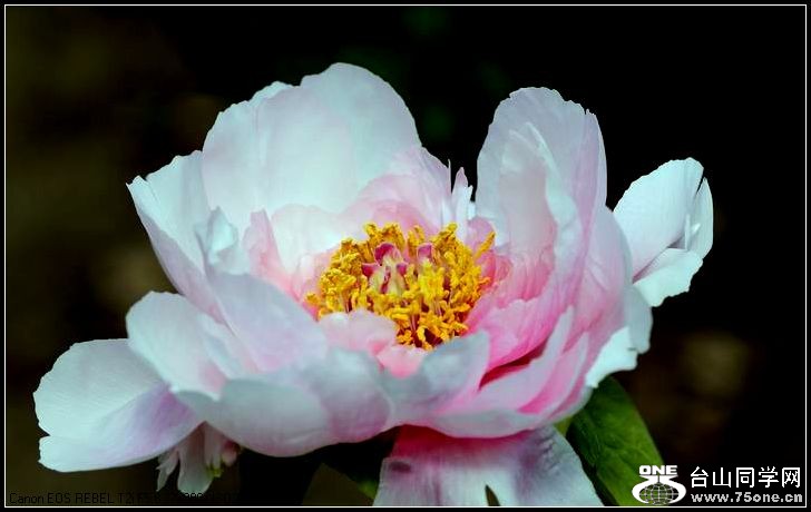 ������С IMG_3210.JPG