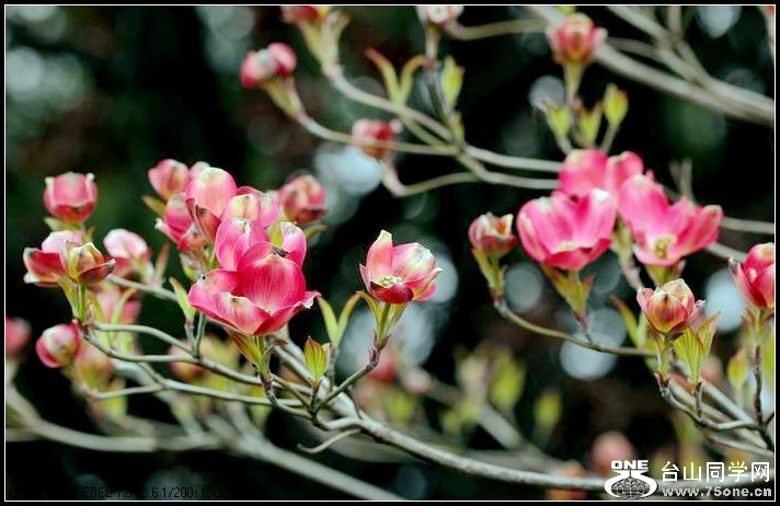 ������С IMG_3175.JPG