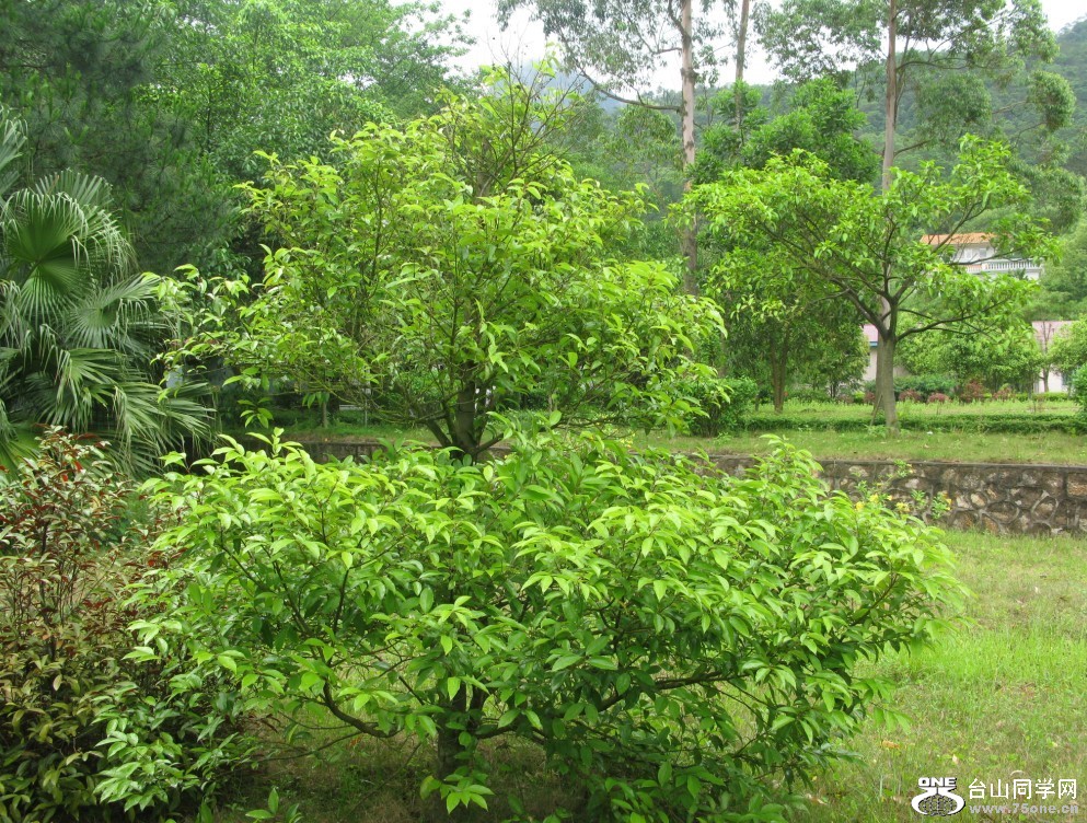 88.jpg