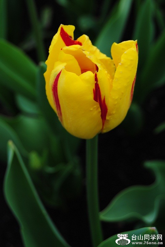 DSC_1668.JPG