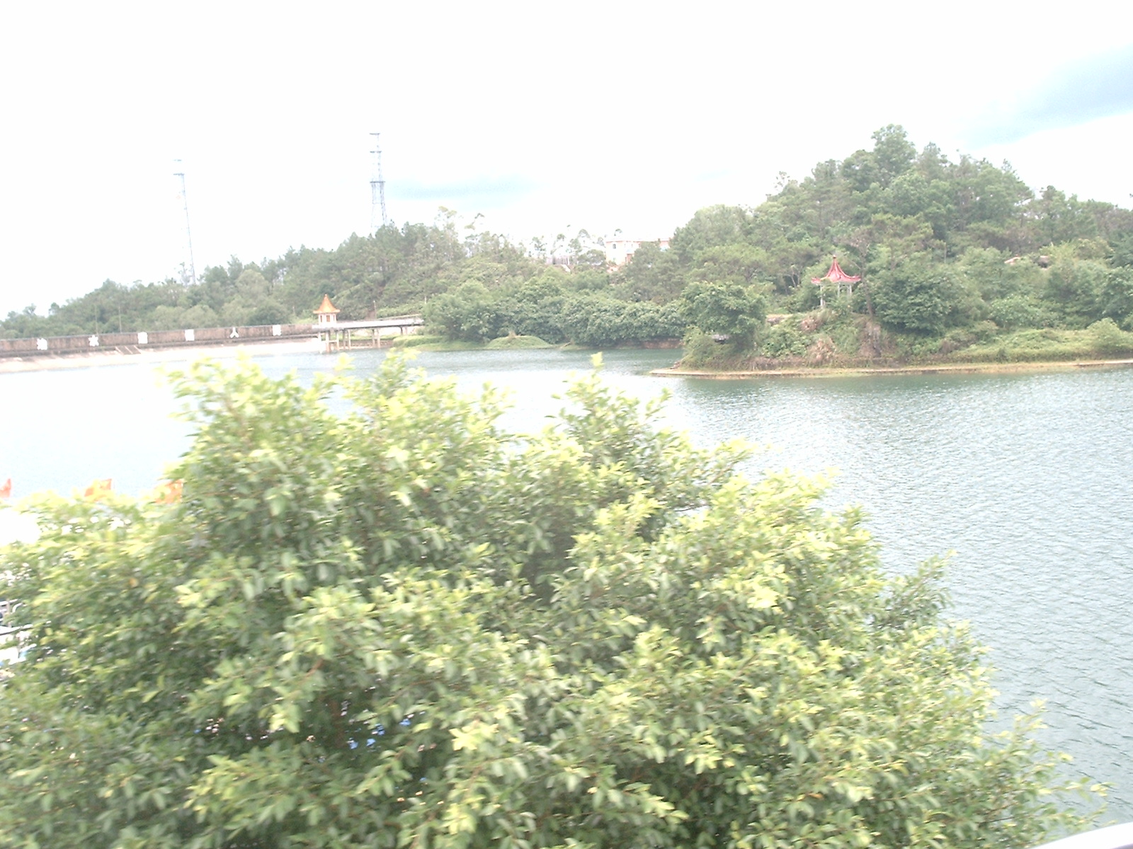 DSC_0766.JPG