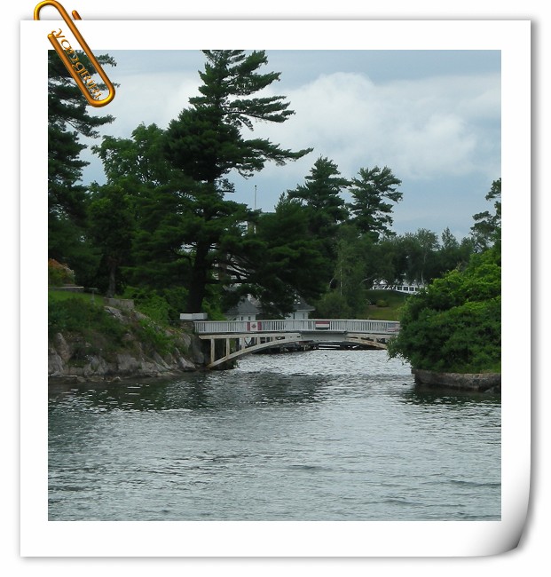 DSCN0582.jpg