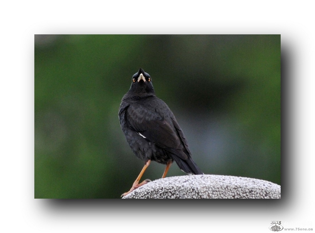 Ƭ 2132079256112.jpg