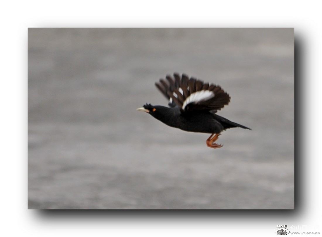 Ƭ 2132079254112.jpg