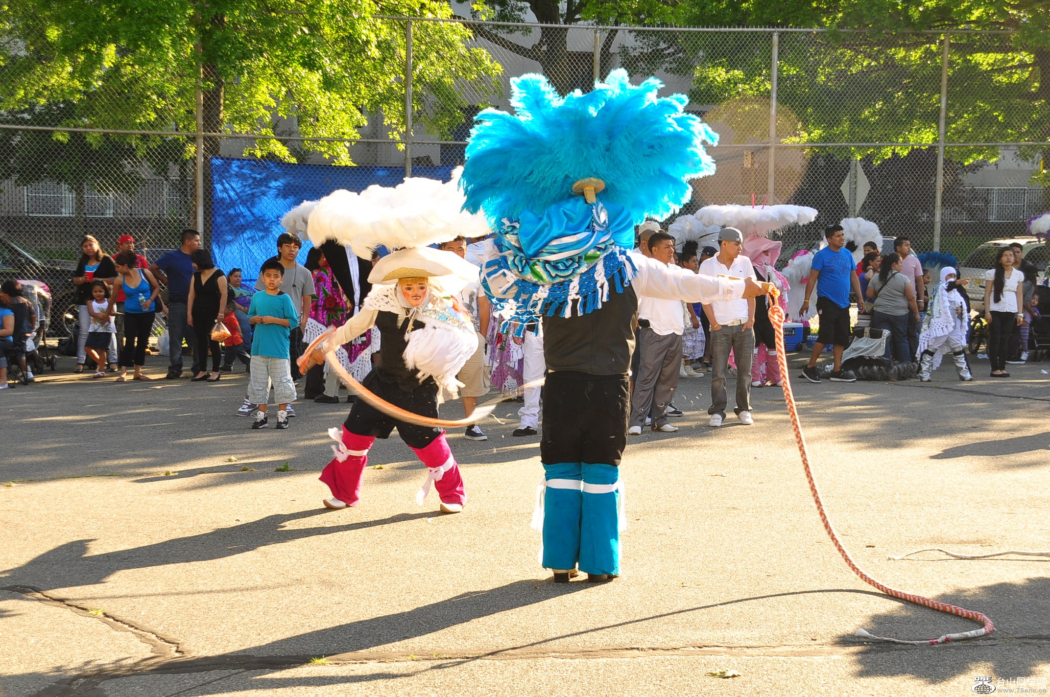 DSC_0084.JPG