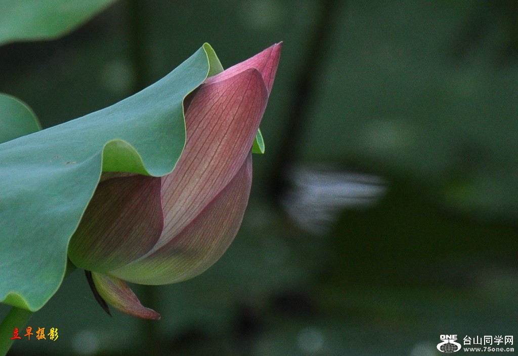 DSC_0045.JPG