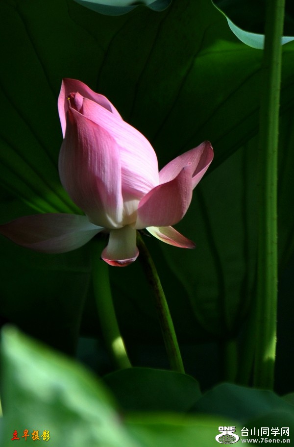 DSC_0003.JPG