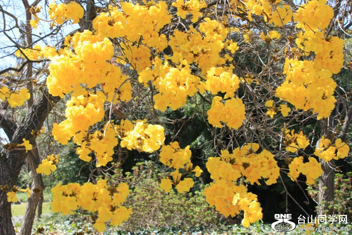 2012_03200332.JPG