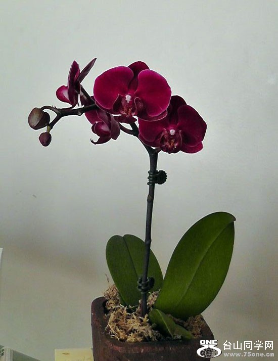 H1510001=.jpg